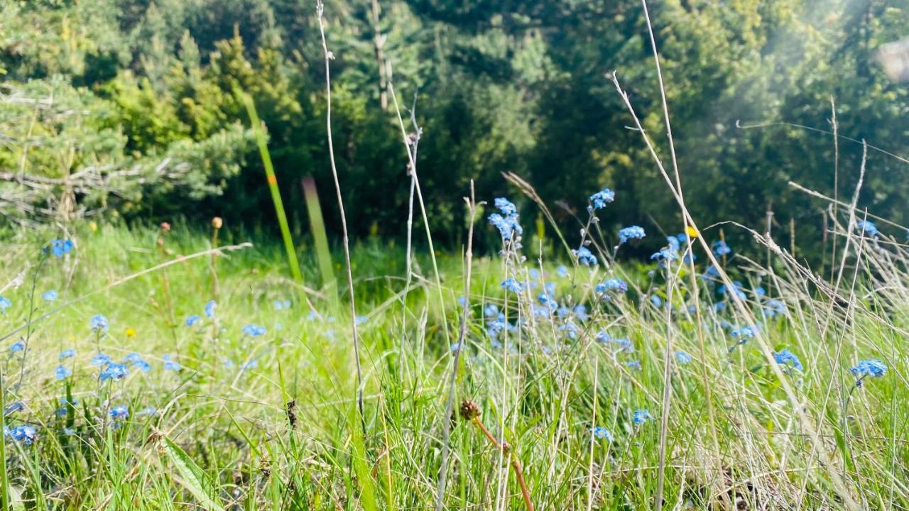 Eco Village Pavlovic Žabljak Kültér fotó