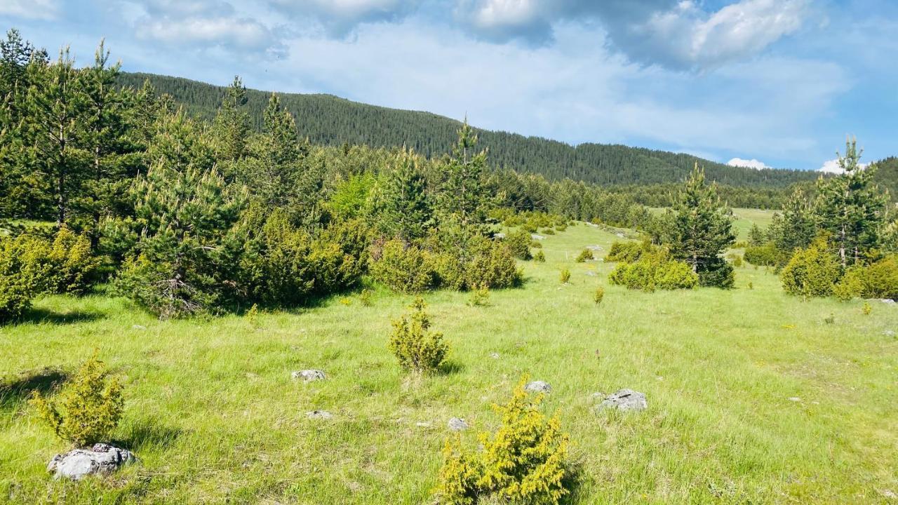 Eco Village Pavlovic Žabljak Kültér fotó