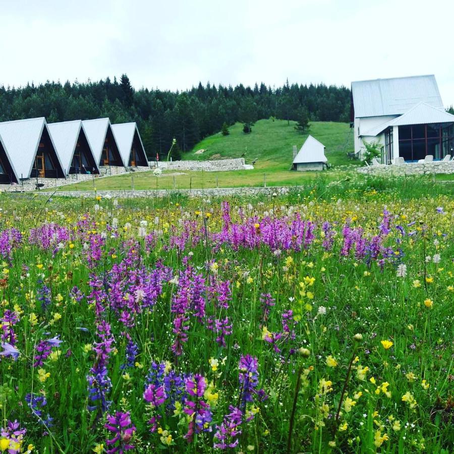 Eco Village Pavlovic Žabljak Kültér fotó
