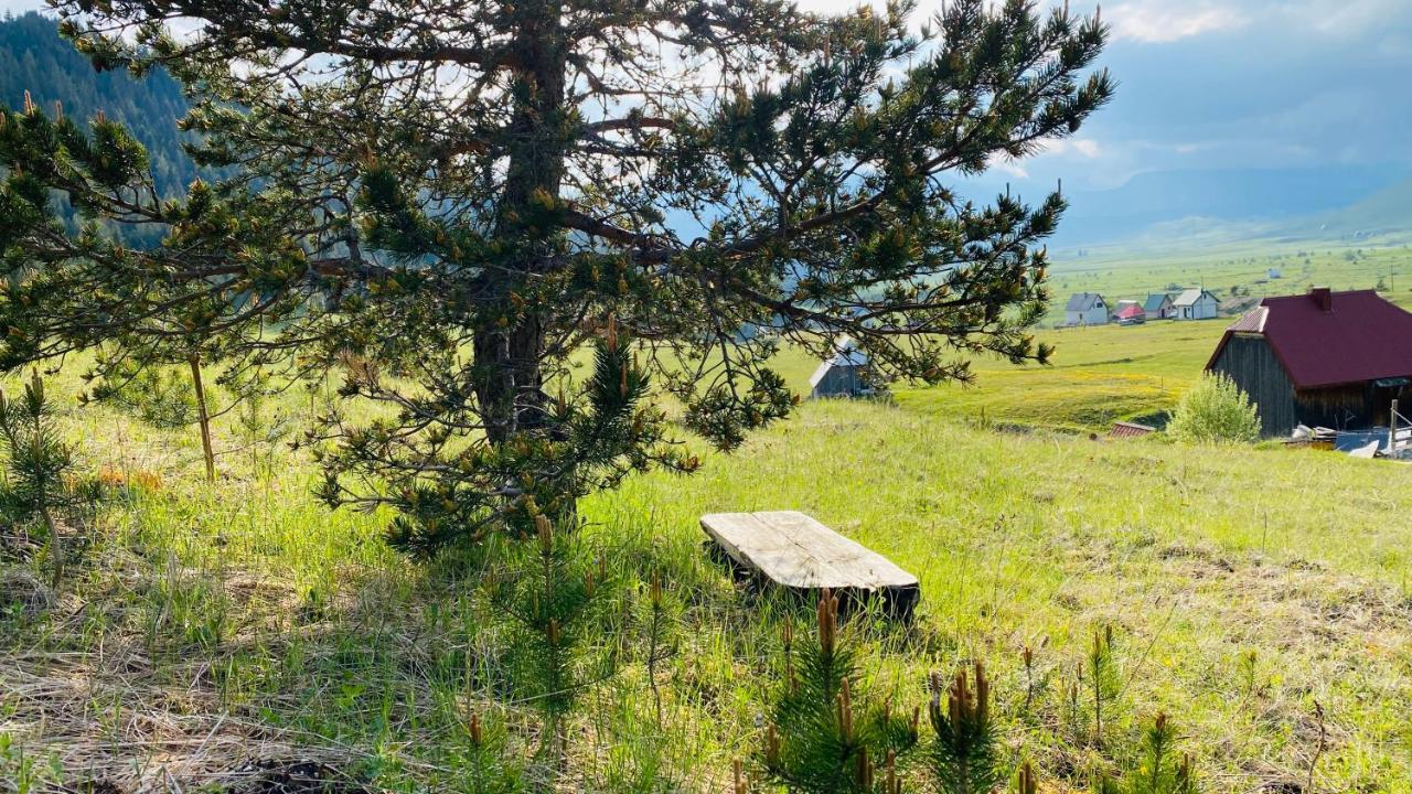 Eco Village Pavlovic Žabljak Kültér fotó