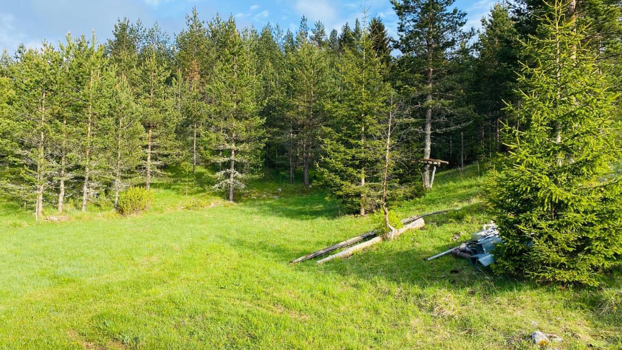 Eco Village Pavlovic Žabljak Kültér fotó