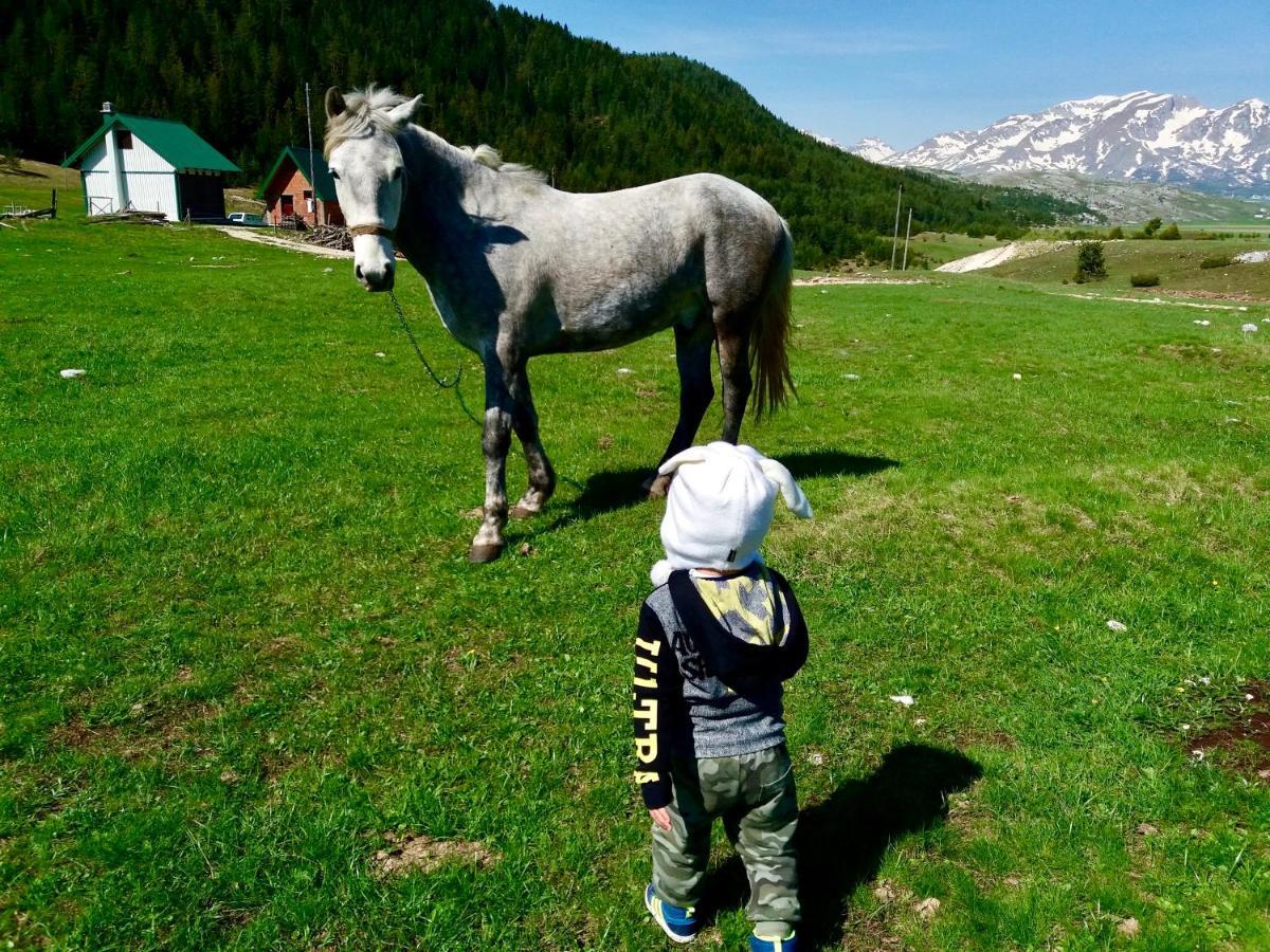 Eco Village Pavlovic Žabljak Kültér fotó